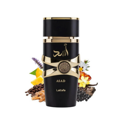 Yara Asad Lattafa 3.4oz EDP for men